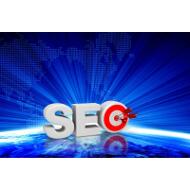 Mantenimiento Web Gold + Posicionamiento SEO