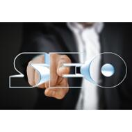 Mantenimiento Web Bronze + Posicionamiento SEO